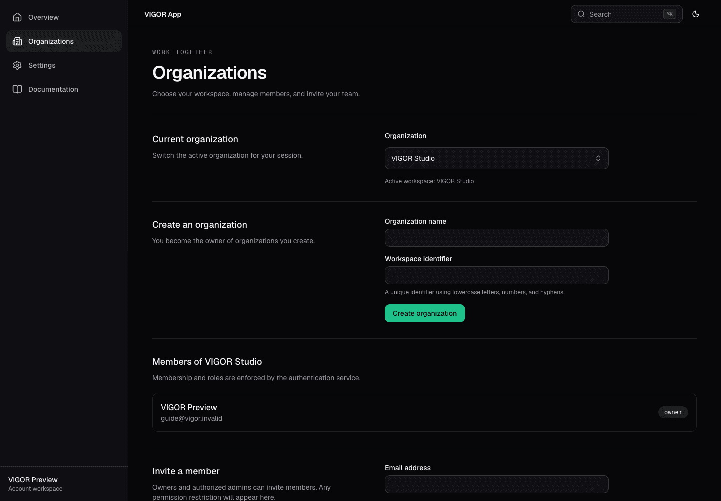 Organizations page showing VIGOR Studio selected, the create organization form, and the owner's member record
